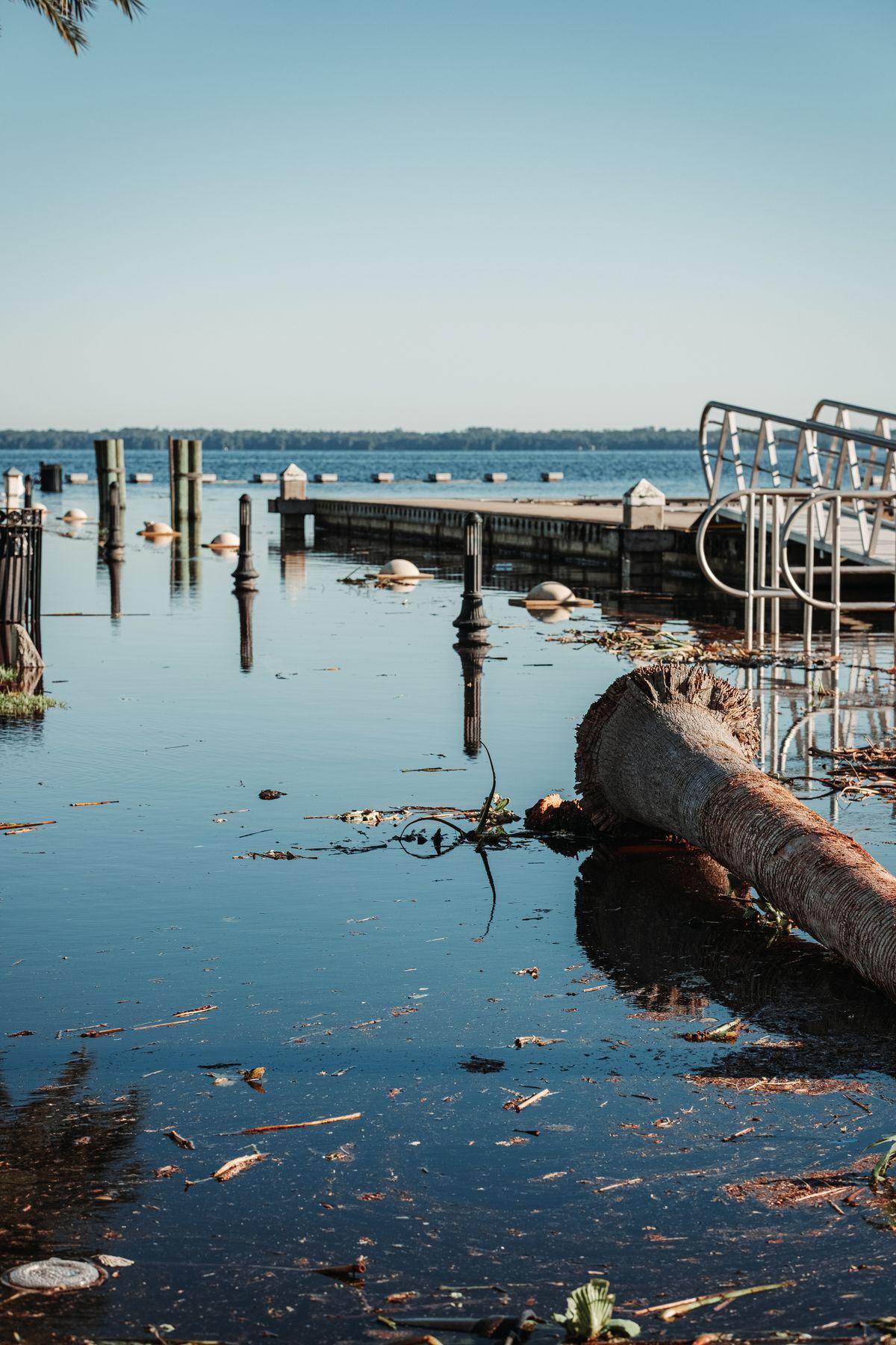 Assessing dock structural condition after a hurricane in Northeast Florida