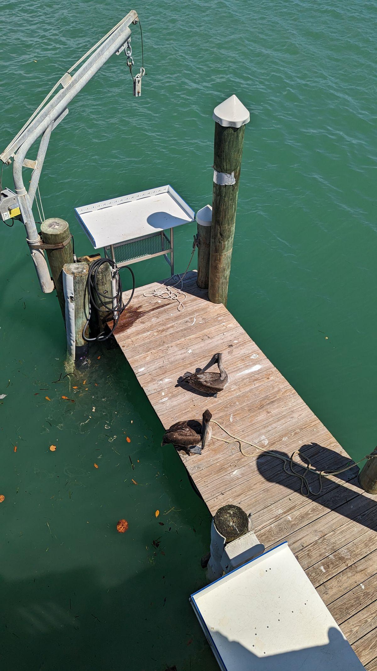 Marine contractor performing dock repair work in Northeast Florida