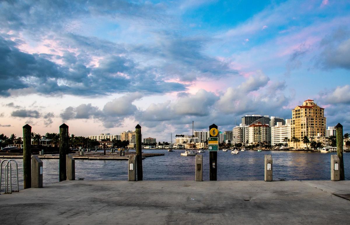 Dock pilings in the tidal zone along the St. Johns River in Jacksonville