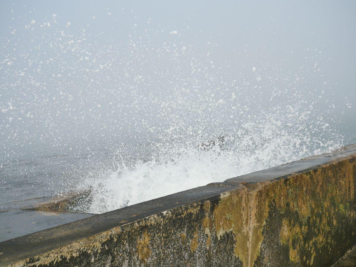 Seawall and bulkhead construction along a Florida shoreline